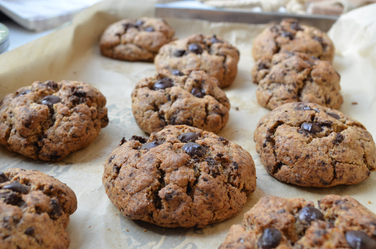Chocolate chip cookies fresh from the oven